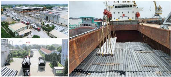 hướng đi khác biệt của amaccao
